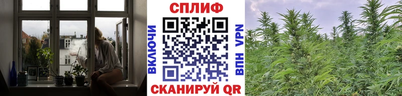 продажа наркотиков  Петропавловск-Камчатский  shop состав  Марихуана тримм 